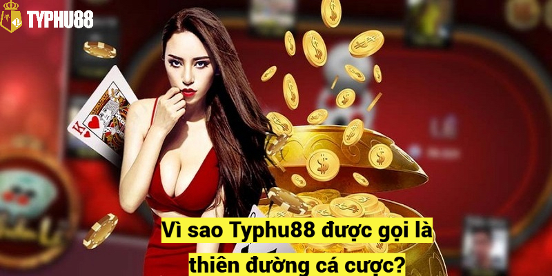 Vì sao Typhu88 được gọi là thiên đường cá cược?