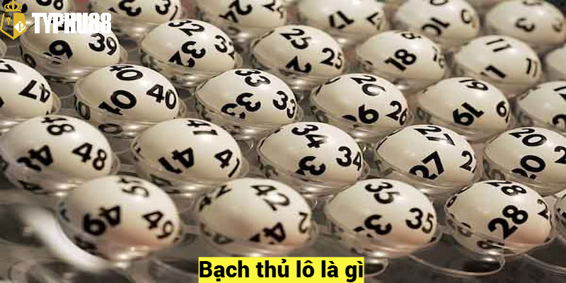 Bạch thủ lô là gì?