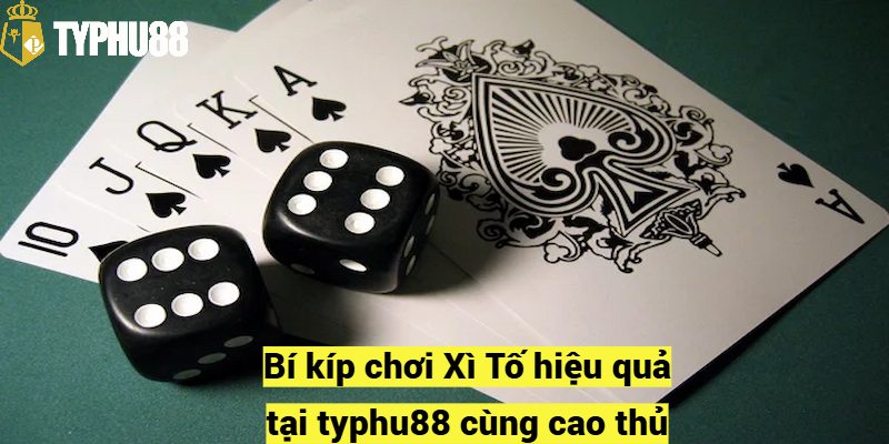 Bí kíp chơi Xì Tố typhu88 hiệu quả cùng cao thủ