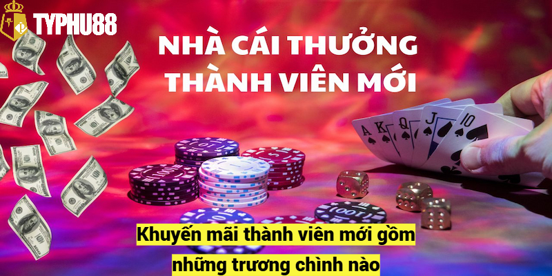 Khuyến mãi thành viên mới gồm những trương chình nào?