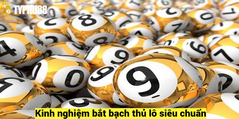 Kinh nghiệm bắt bạch thủ lô siêu chuẩn