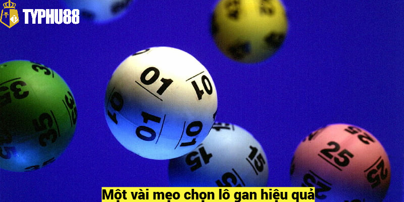 Một vài mẹo chọn lô gan hiệu quả