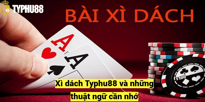 Xì dách Typhu88 và những thuật ngữ cần nhớ